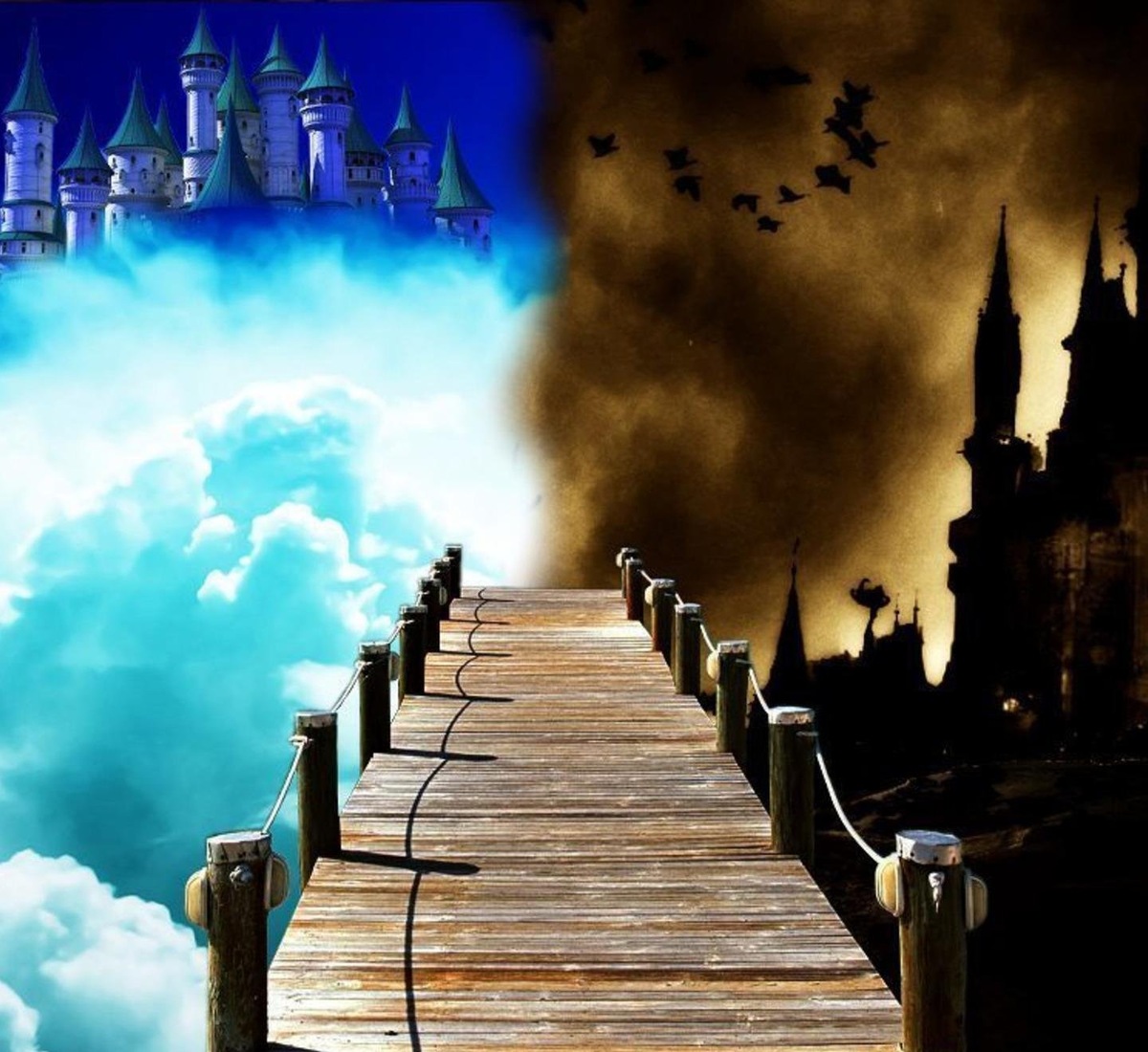 Фото из источников интернета