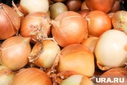    На границе остановили 66 тонн репчатого лука