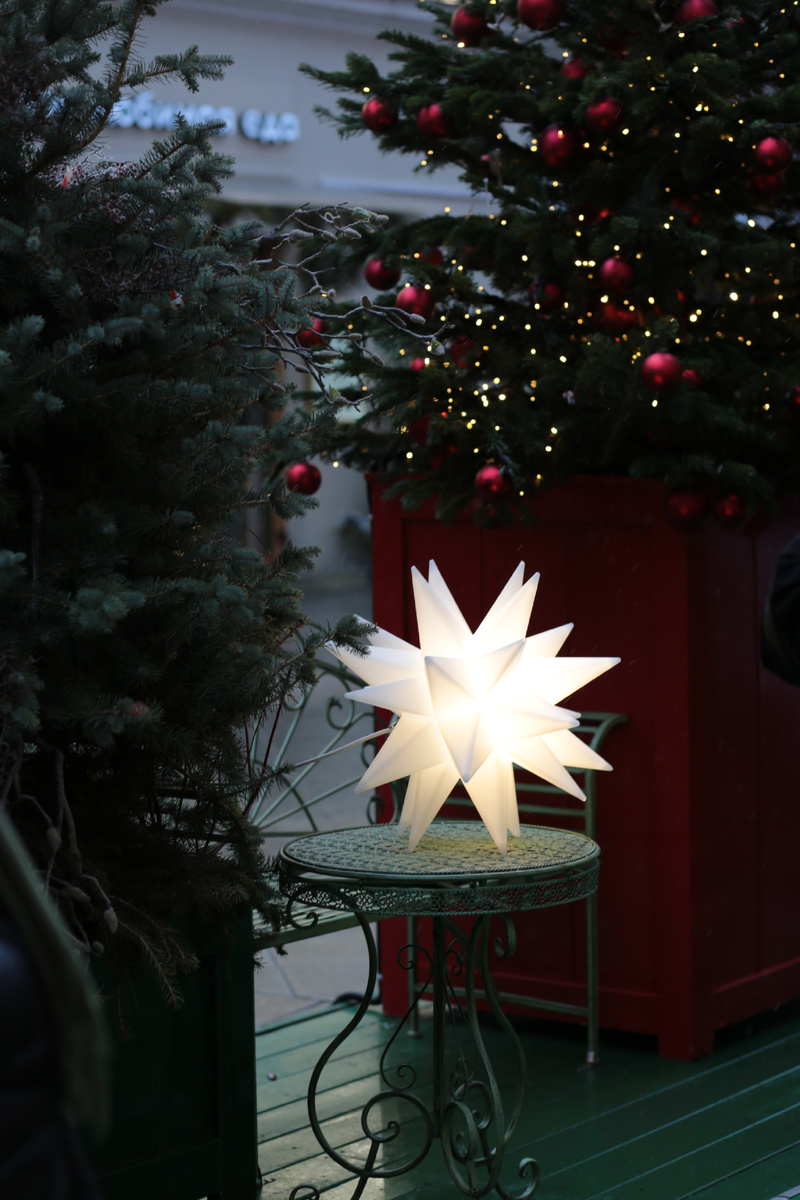 Моравская звезда. Фото автора