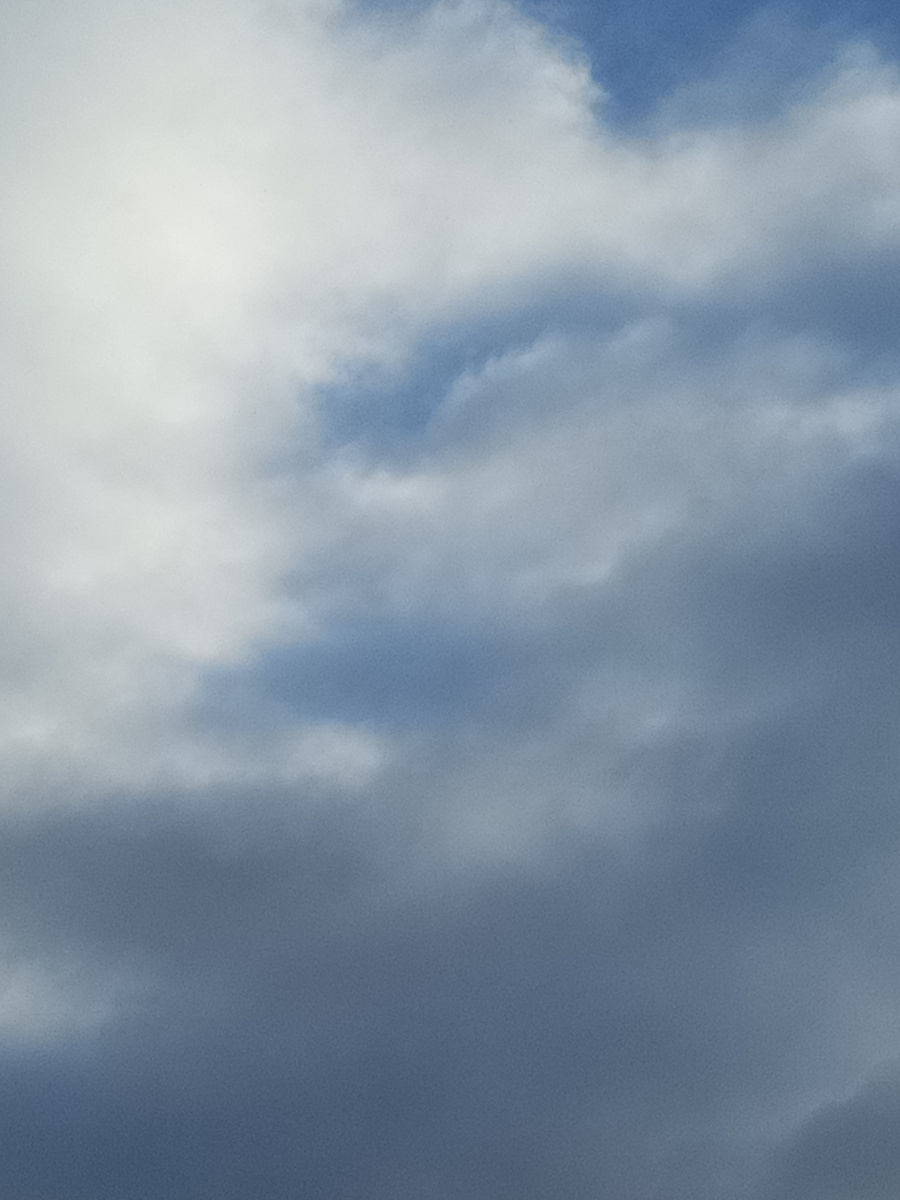 Источник: личное фото