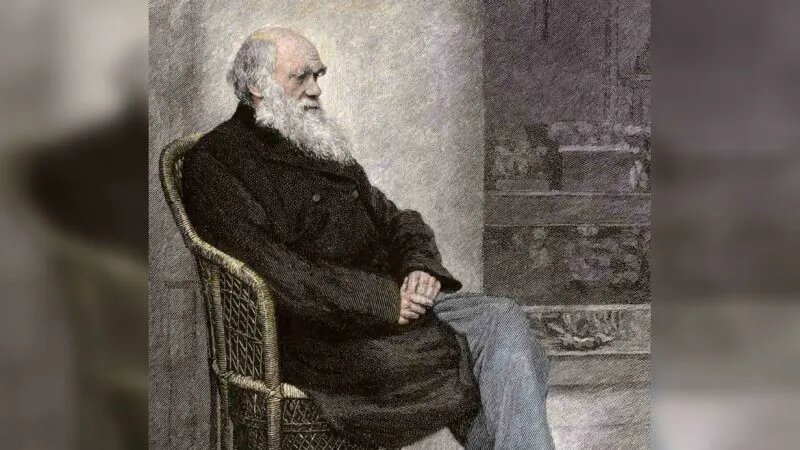 Чарльз Дарвин. (Фотоархив Северного Ветра / Alamy Stock Photo)