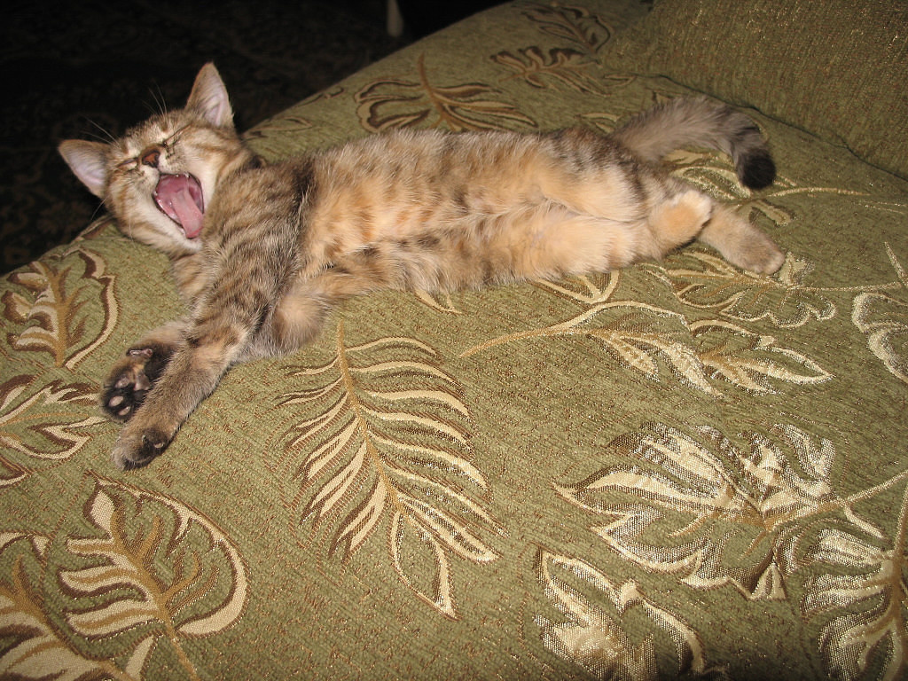 Анфиска в детстве