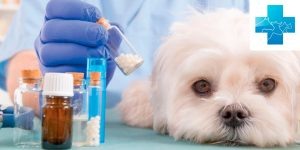 Фото: пресс-служба Уральского межрегионального управления Россельхознадзора