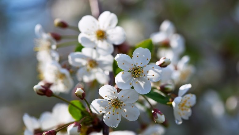 Источник: Freepik