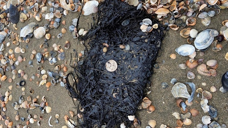    Фото: пресс-служба администрации Краснодарского края