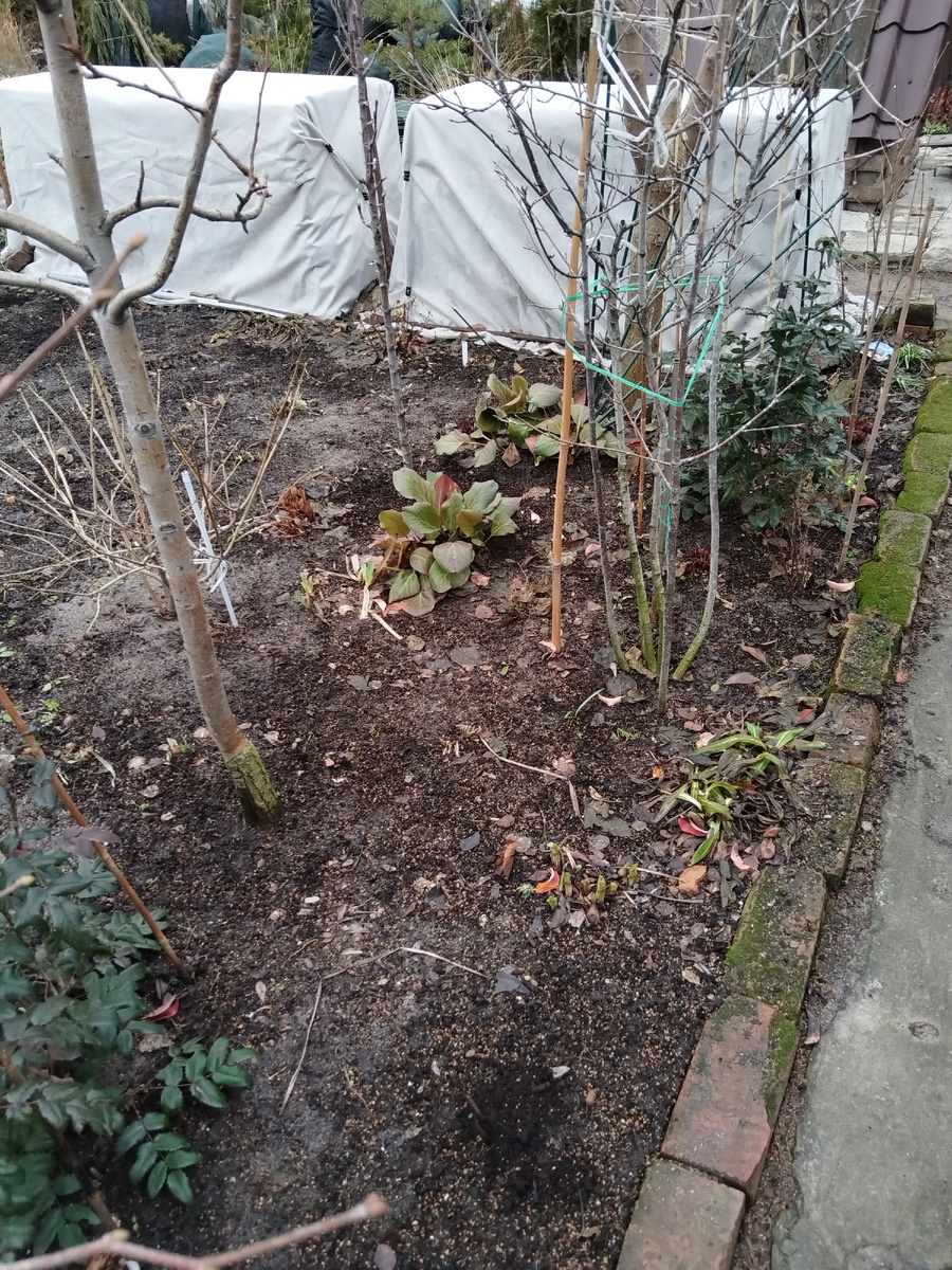 Видите здесь будущий хостарий? И я не вижу. А он есть)))