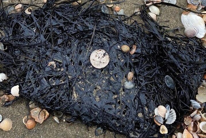    Фото t.me/opershtab23