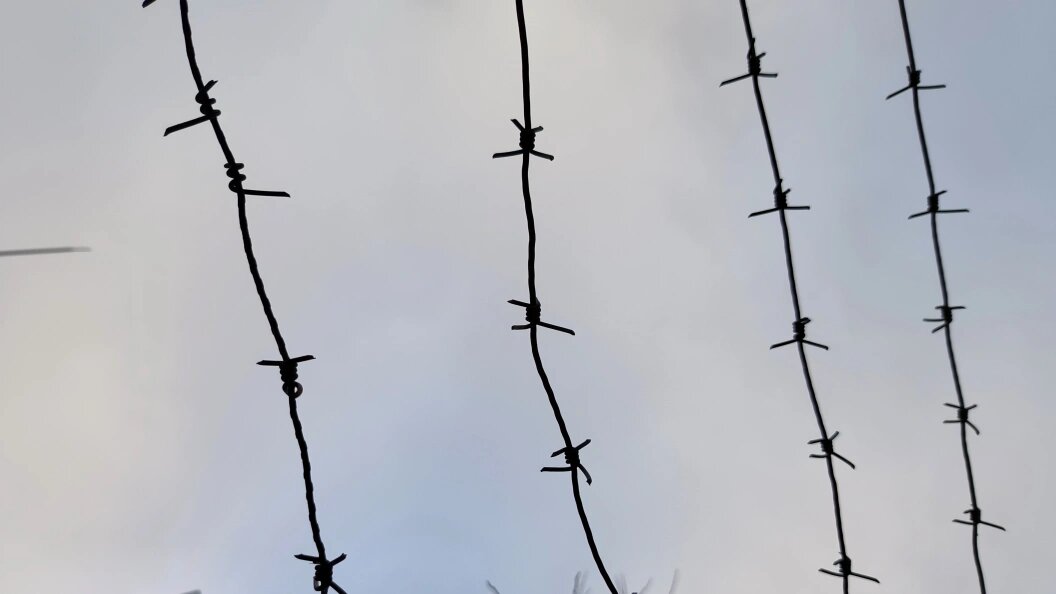    Maksim Konstantinov/Globallookpress