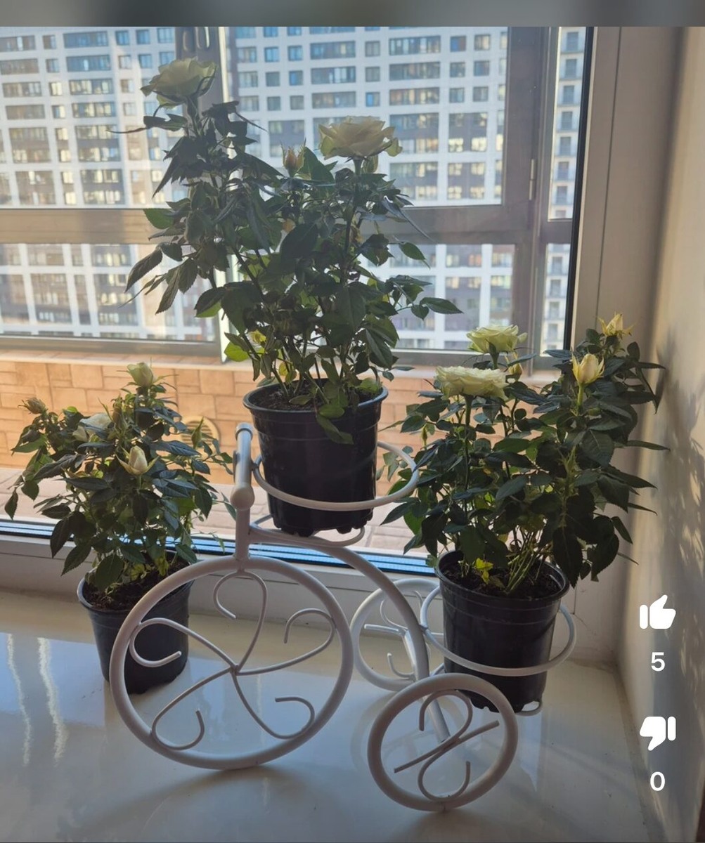 скриншот с Wildberries не реклама