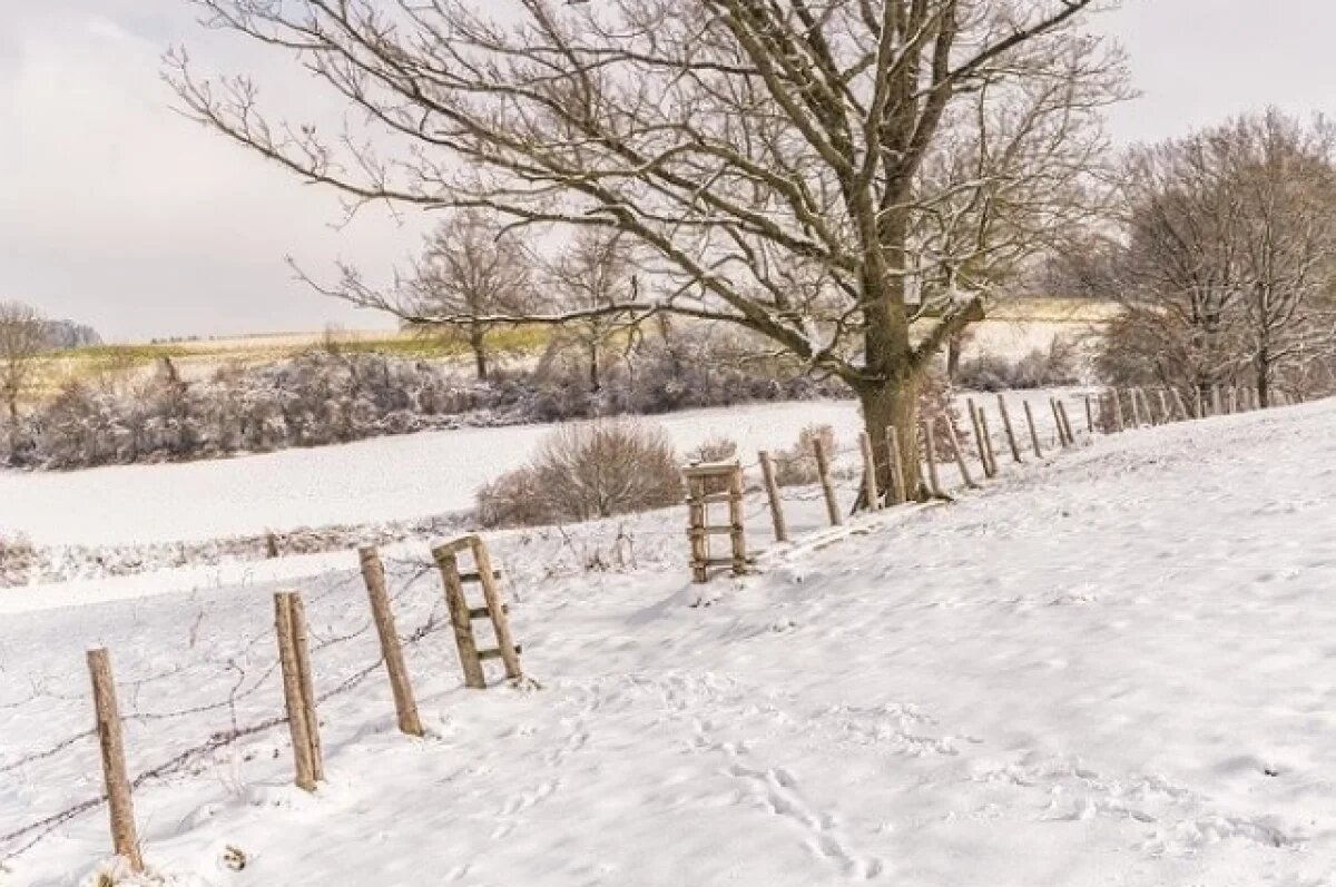    В Тверской области нерадивый землевладелец лишился 23 участков