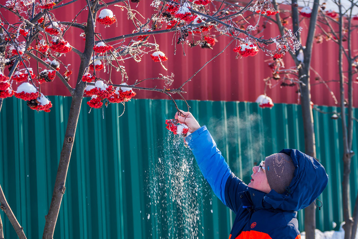    Фото Андрея Заржецкого