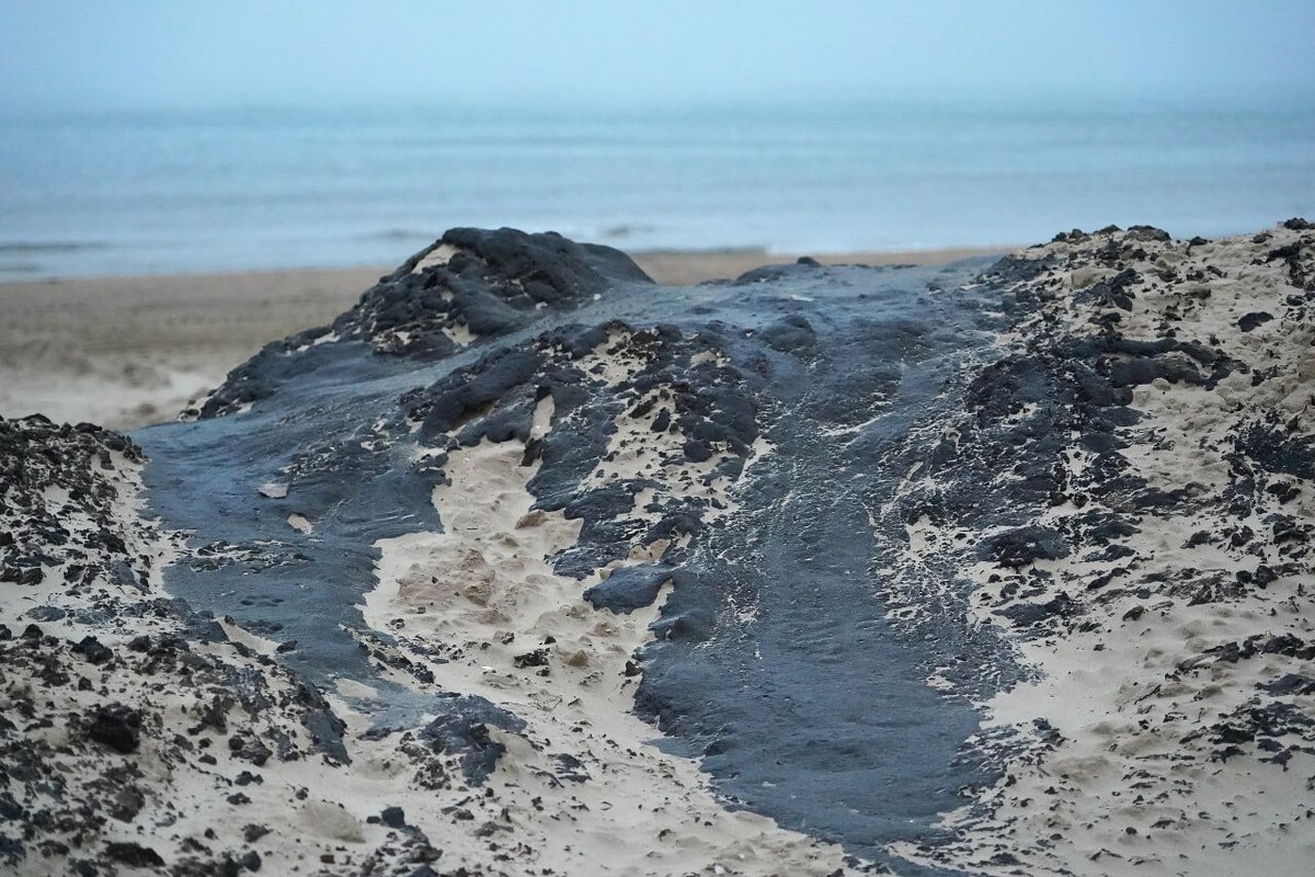     / Источник: © ИЗВЕСТИЯ/Павел Волков