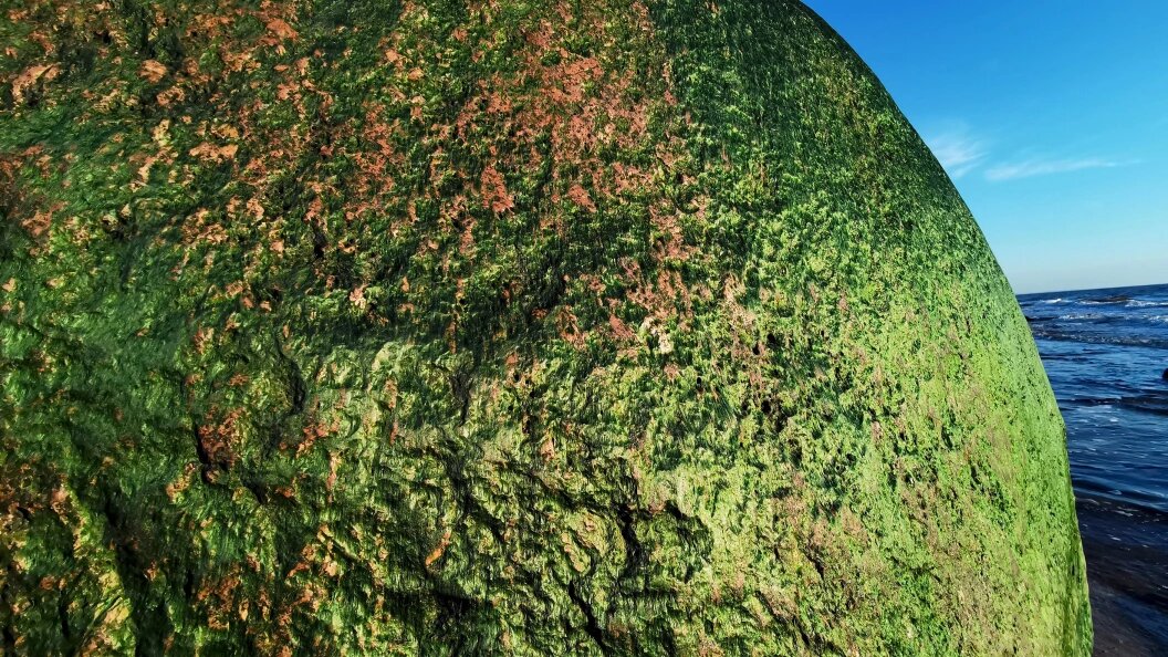    Andrey Zima/Global Look Press