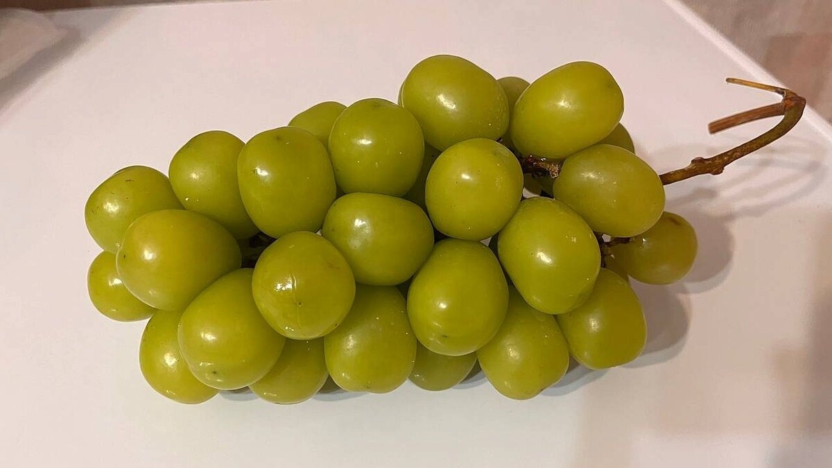    Фото: телеканал «Краснодар»