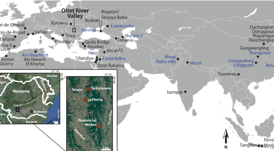   Sabrina Curran et al. / Nature Communications, 2025