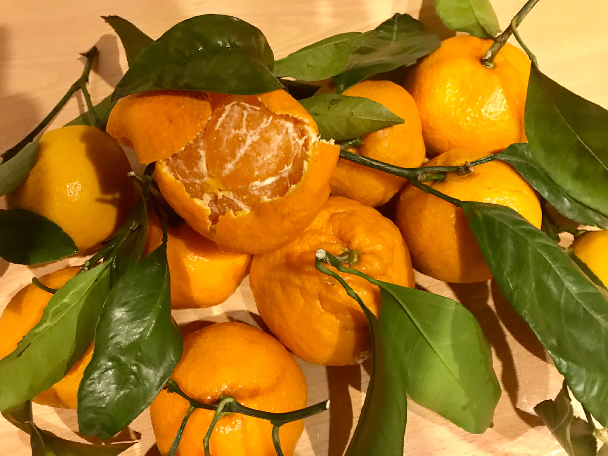 Мандарин с листьями. В чай листья хорошо добавлять для пряного мягкого вкуса.