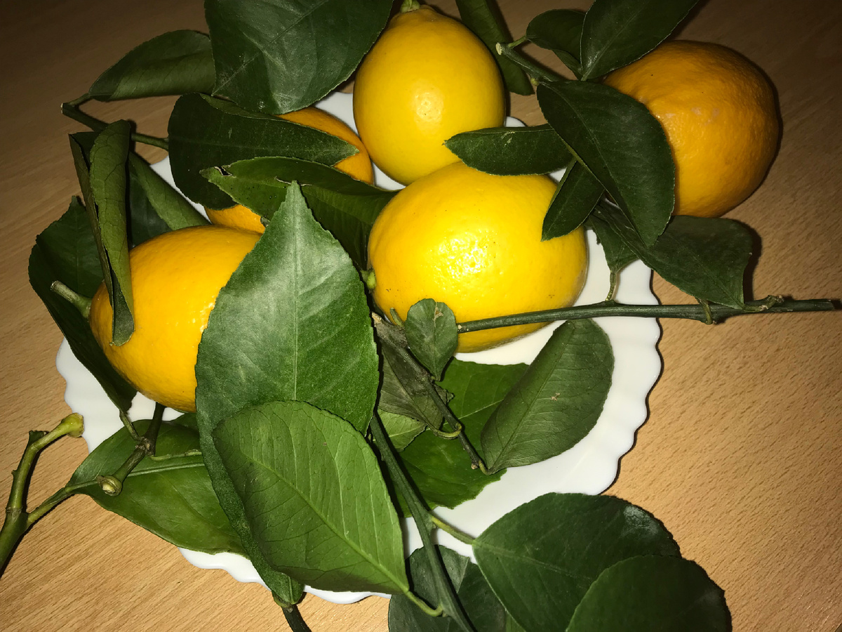 Лимон только с веточками. В чай листья очень хороши. Добавляют остроты.