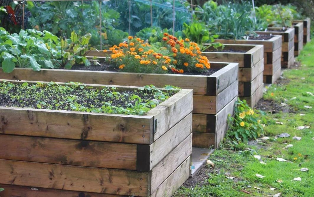 Картинка из интернета 