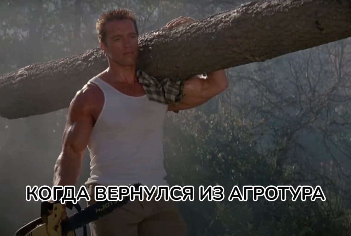 Скриншот: YouTube