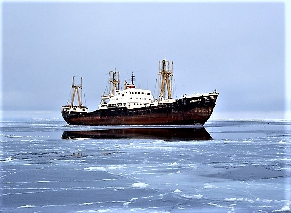 1. т/х "Ураллес" в Находке