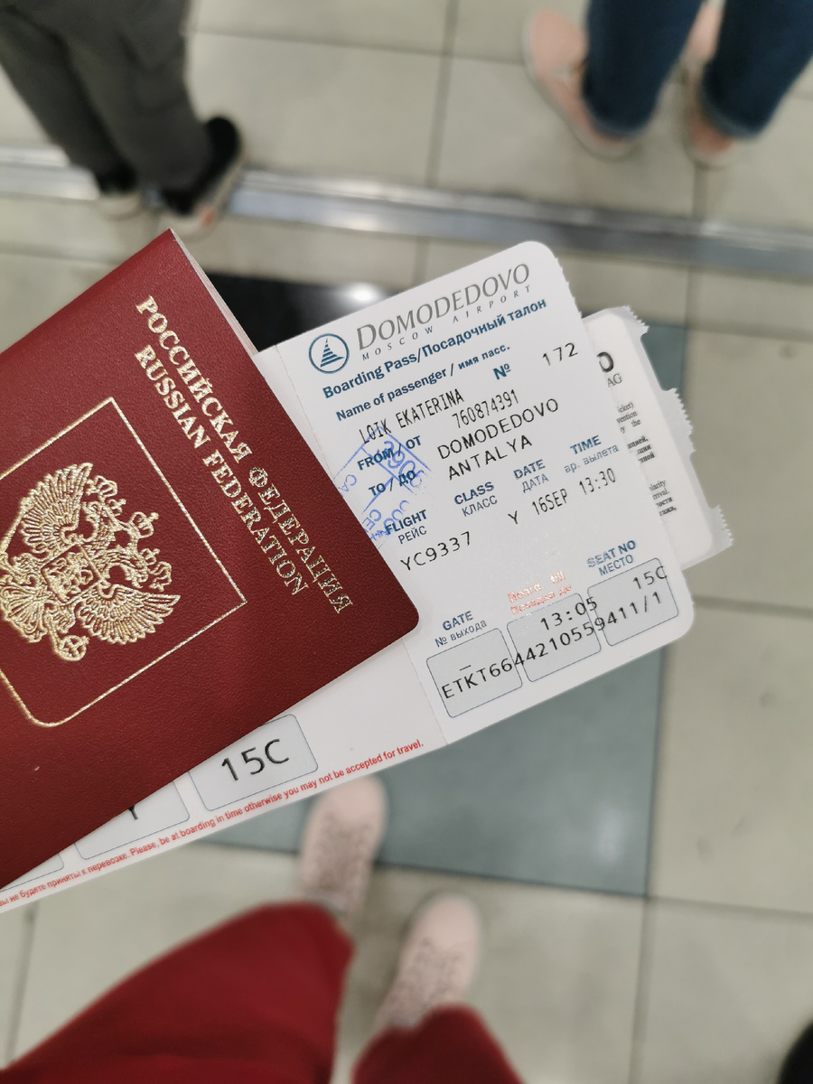 "Усы, лапы, хвост - вот мои документы". 