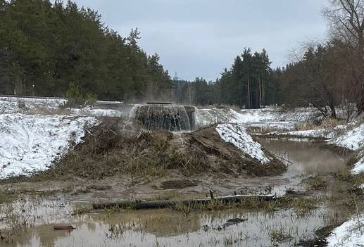     Фото: Росприроднадзор