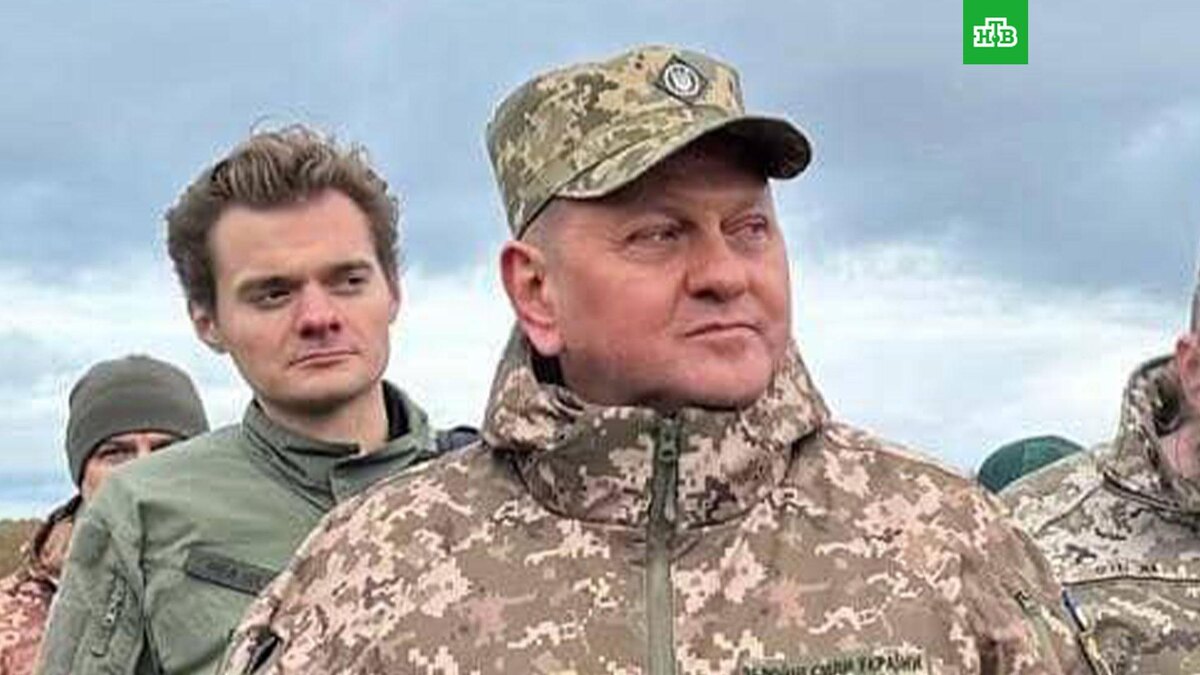    Фото: zaluzhnyj / t.me