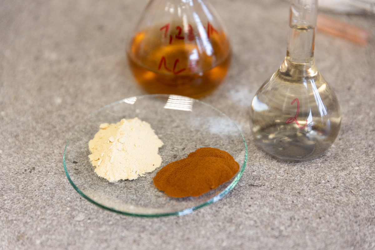 Ученые УрФУ с помощью лигносульфоната получили стимулятор роста сельскохозяйственных растений. Фото: пресс-служба УрФУ / Родион Нарудинов. 