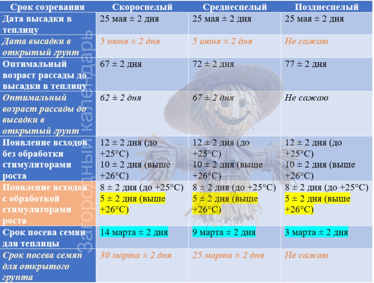 Сроки посева перца 
