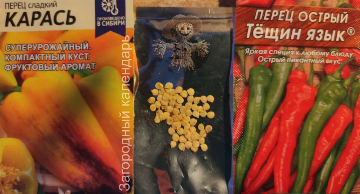 Как правильно посадить семена перца