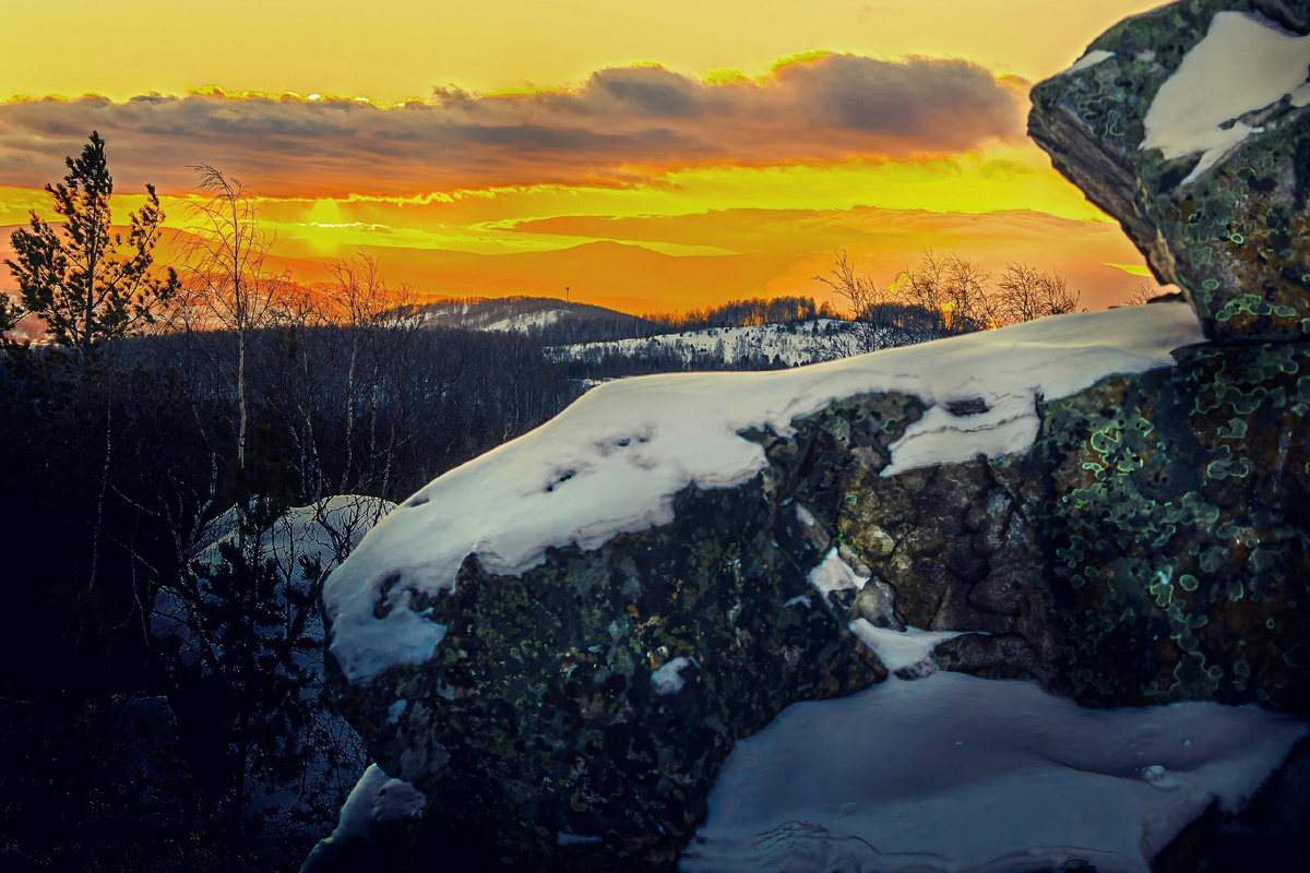 Фото: Ирина Любимова