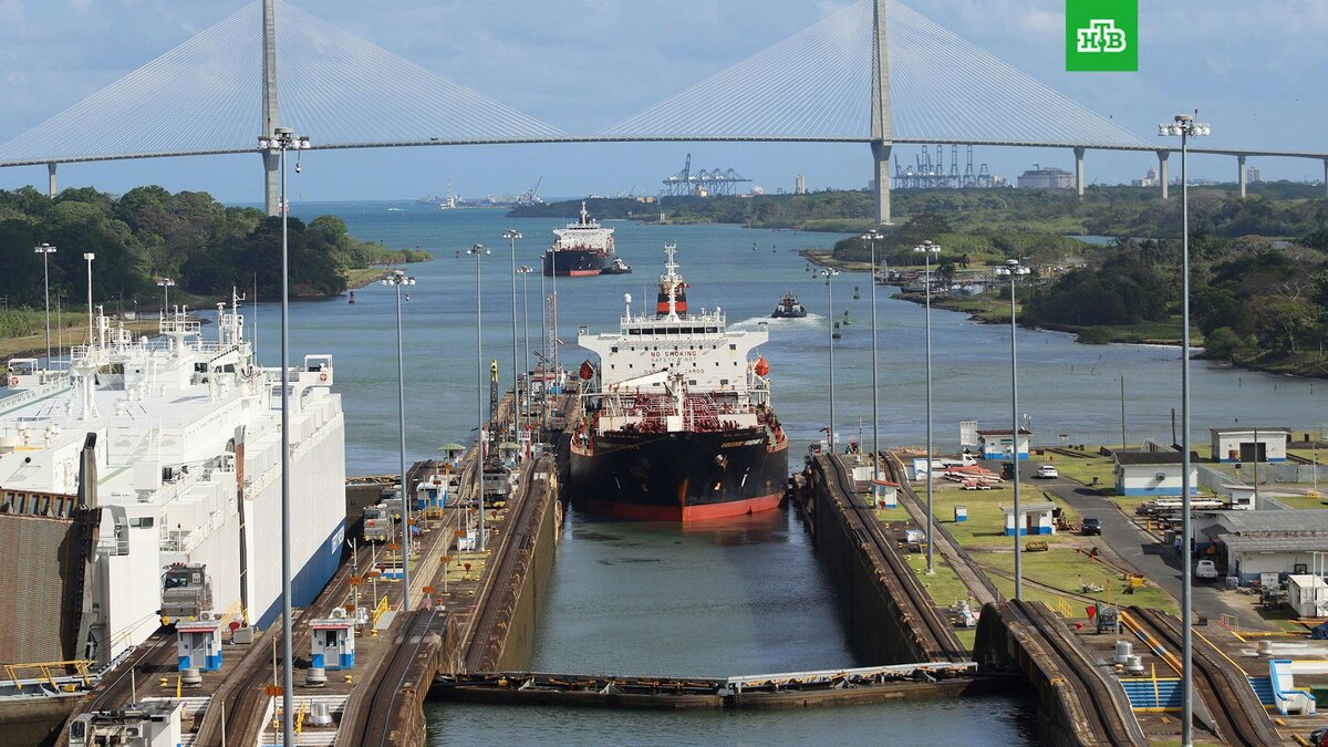    Фото: Alex Pagliuca / unsplash.com