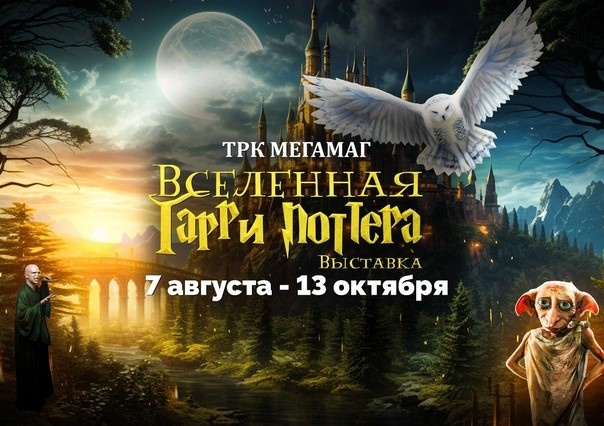 Афиша выставки в ТРК "Мегамаг". Ростов-на-Дону