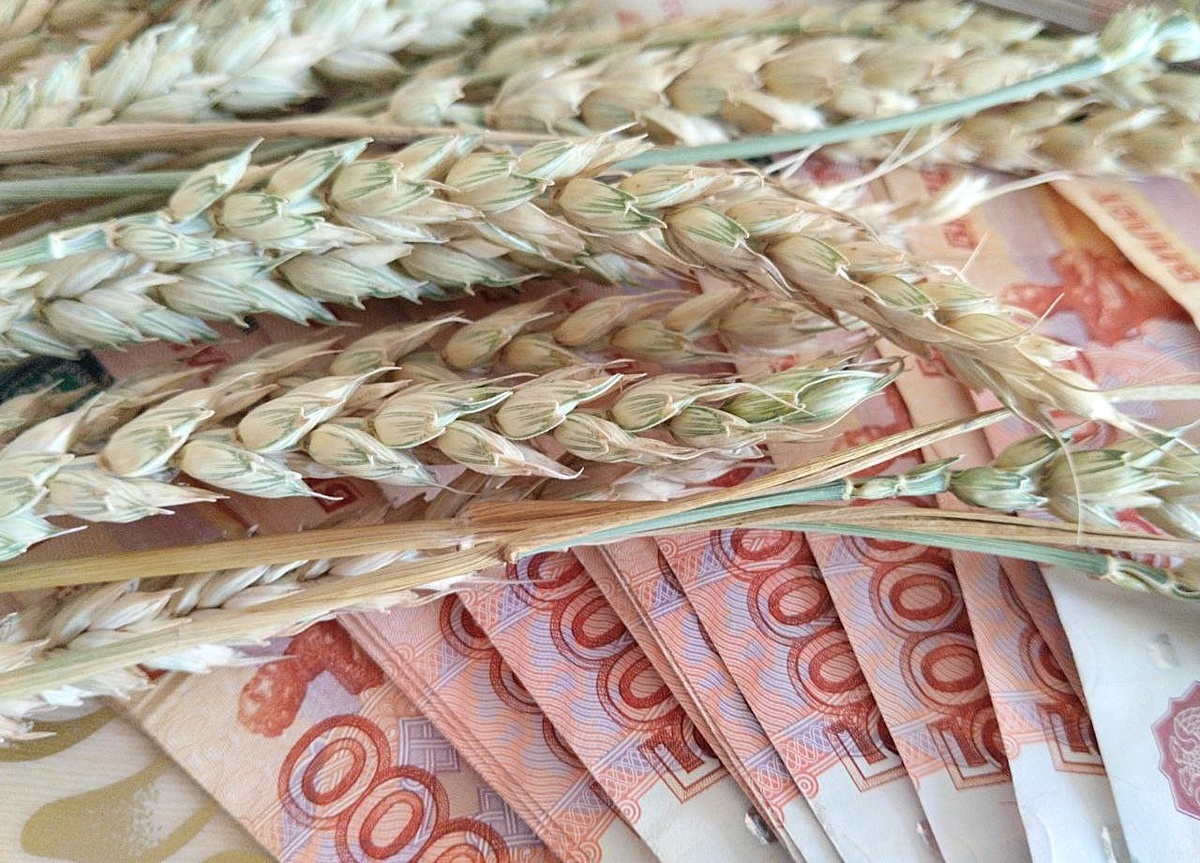 Фото: АПК Новости