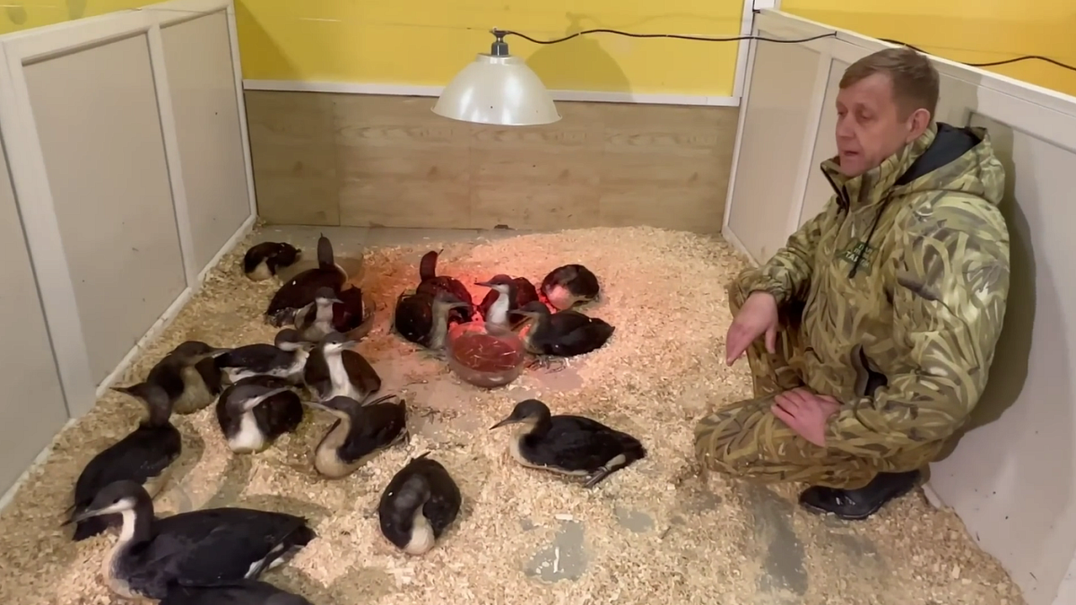    Фото: «Крым 24»