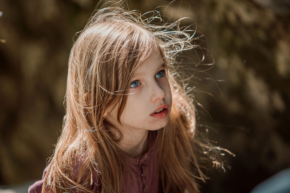 Изображение взято из свободного доступа