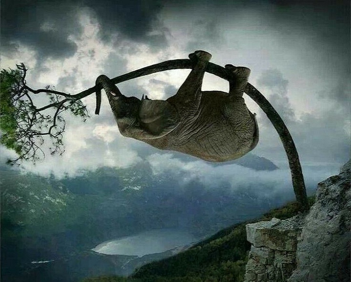 Ты сам творец своей жизни. 