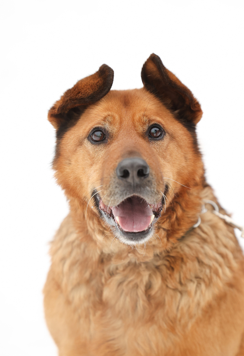 Хэллоу друзья!