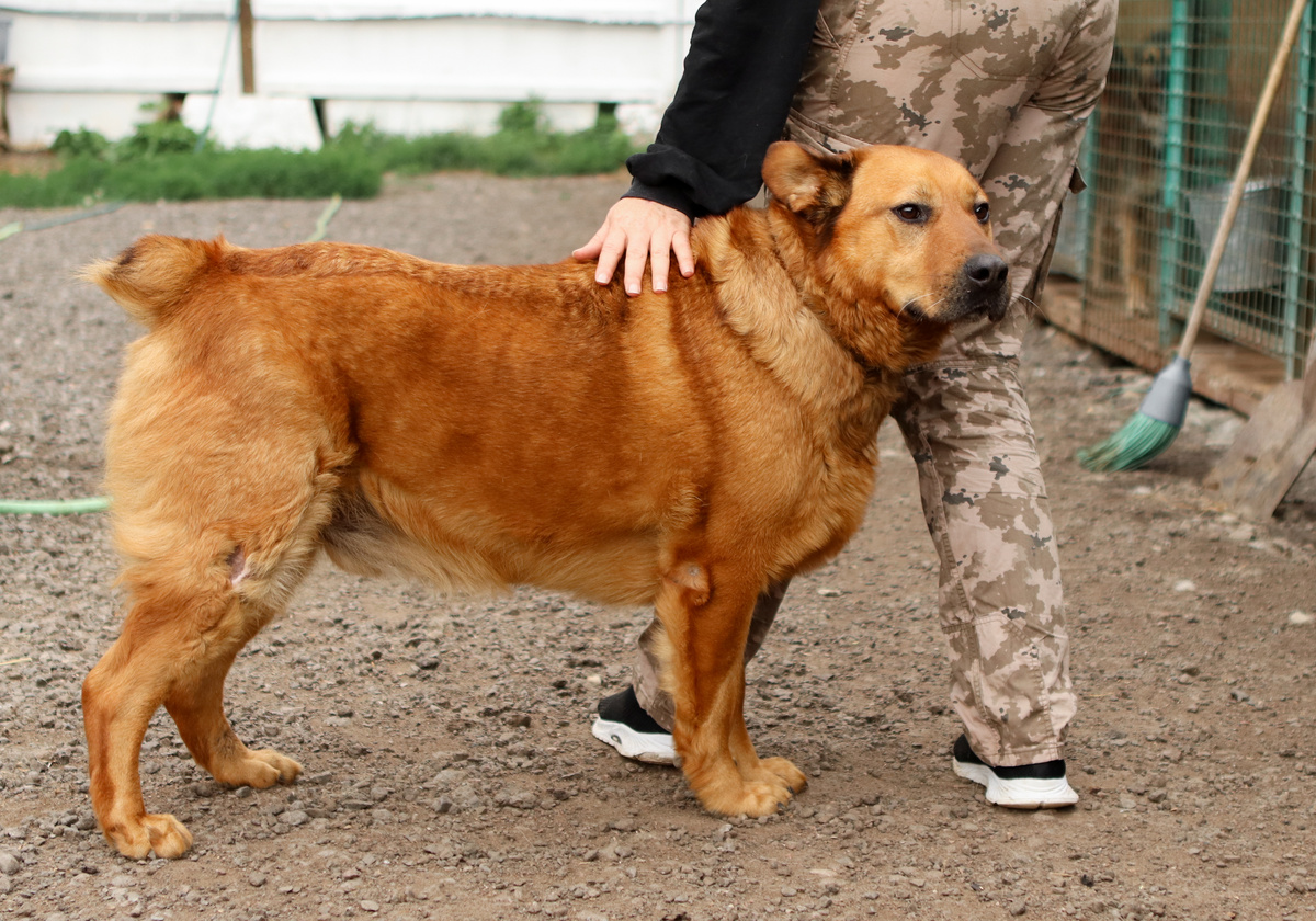 Врагу не пожелаю пережить, что пережил я...