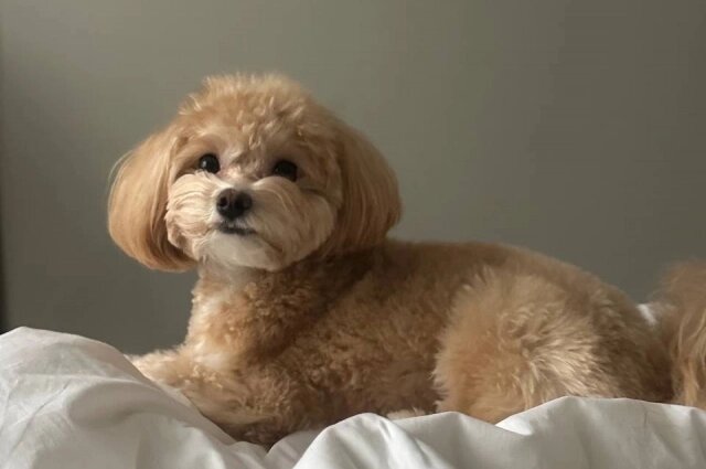    Фото: Предоставлено героем публикации