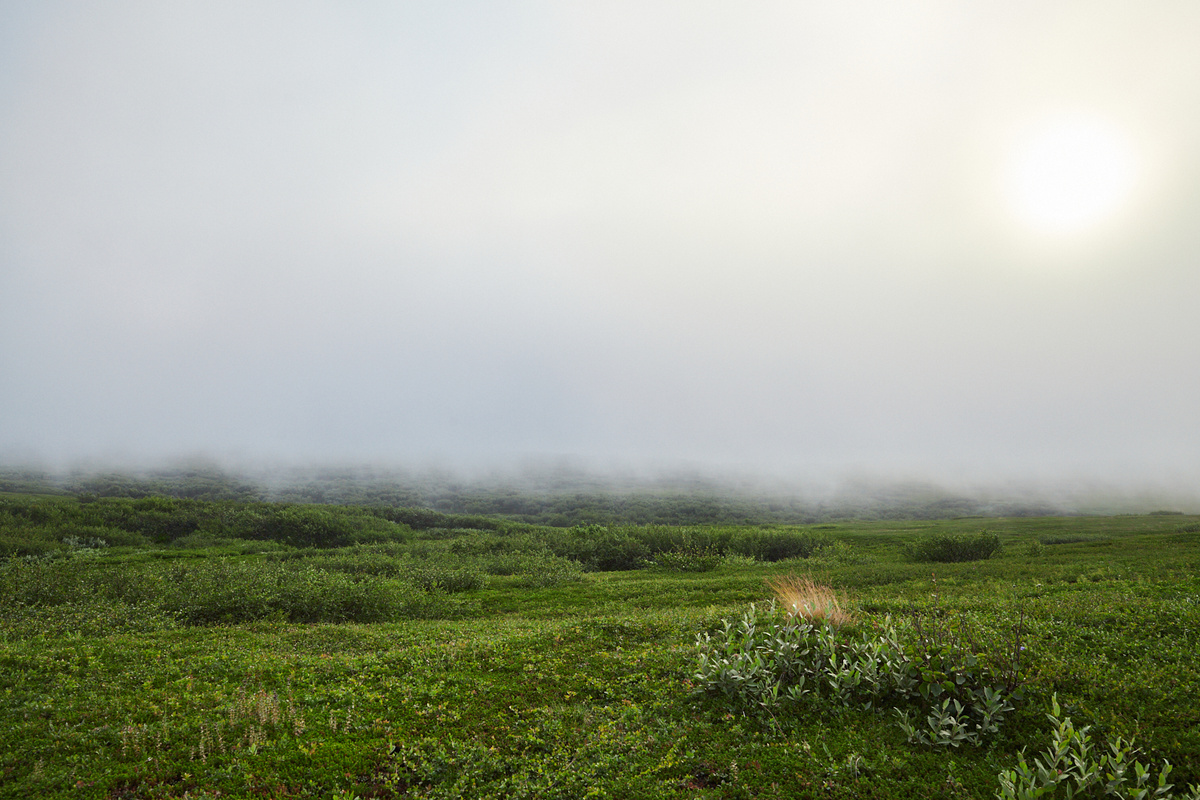А ведь только что было жарко и солнечно!