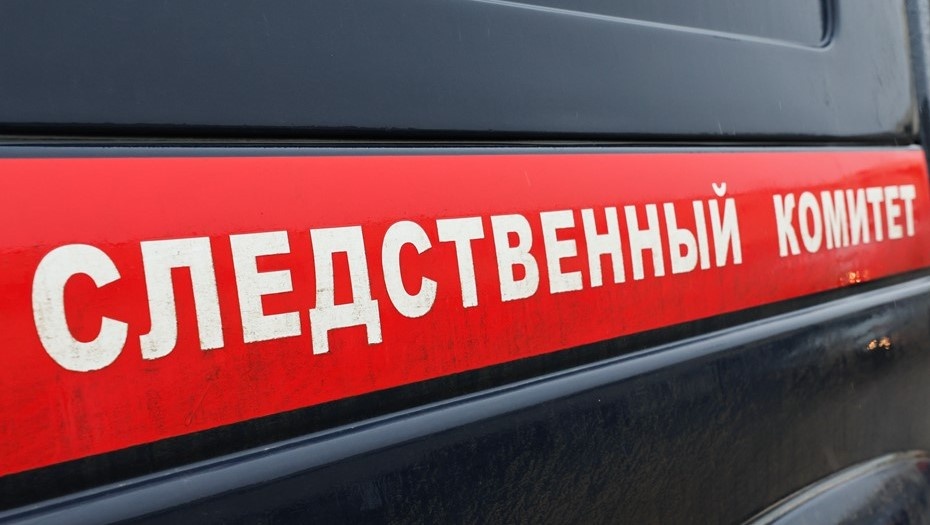    Автор фото: Дмитрий Ягодкин/ТАСС