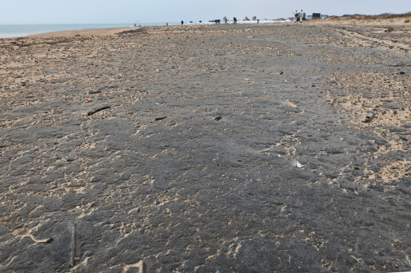    Фото: Belkin Alexey/news.ru/Global Look Press