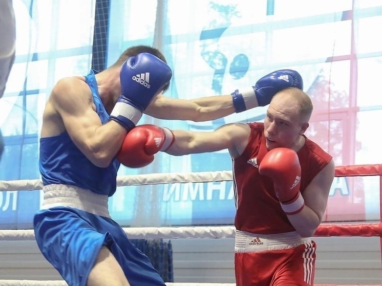     Фото: Федерация бокса Архангельской области