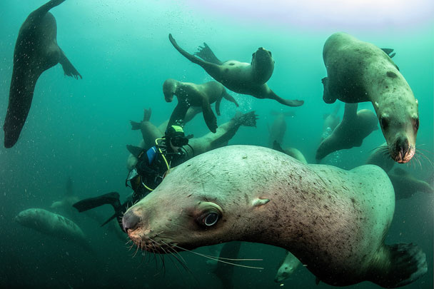 Источник: m.vz.ru