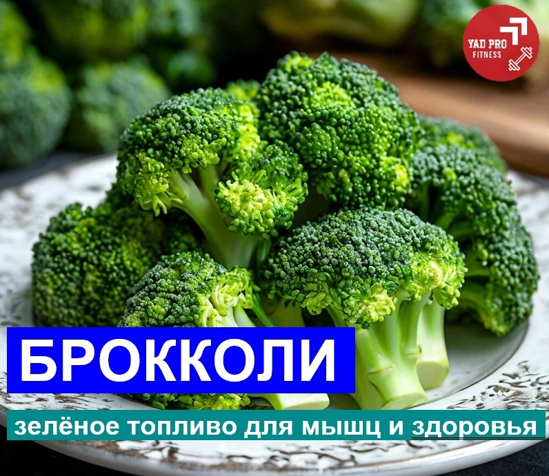 Брокколи | YADPROFitness