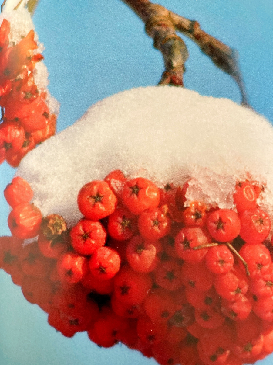 фото Анатолия Хрупова