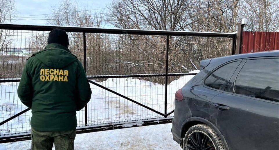    Комитет лесного хозяйства МО