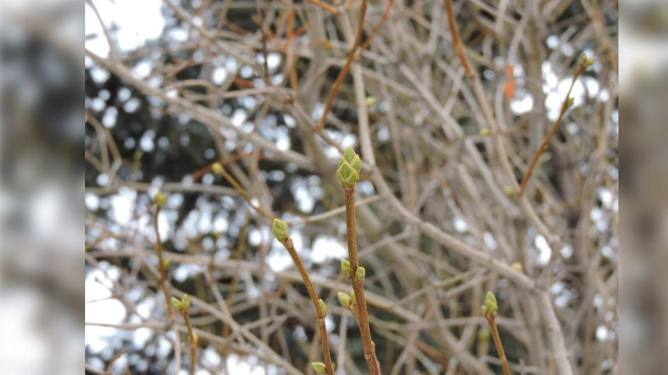 Фото: abzelil.com
