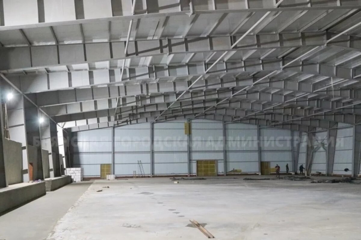    В Брянске приступают к внутренней отделке Дворца зимних видов спорта